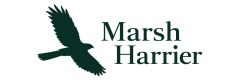 Marsh Harrier 